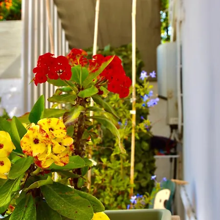 Casamia Hébergement de vacances